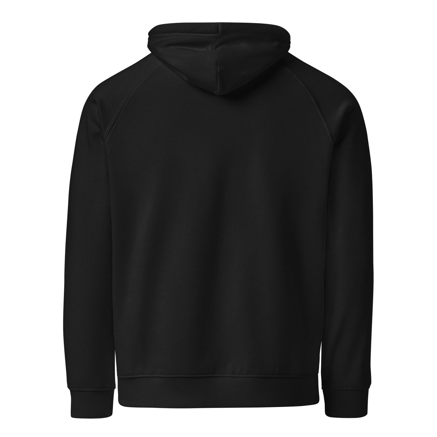 venus in cancer eco raglan hoodie