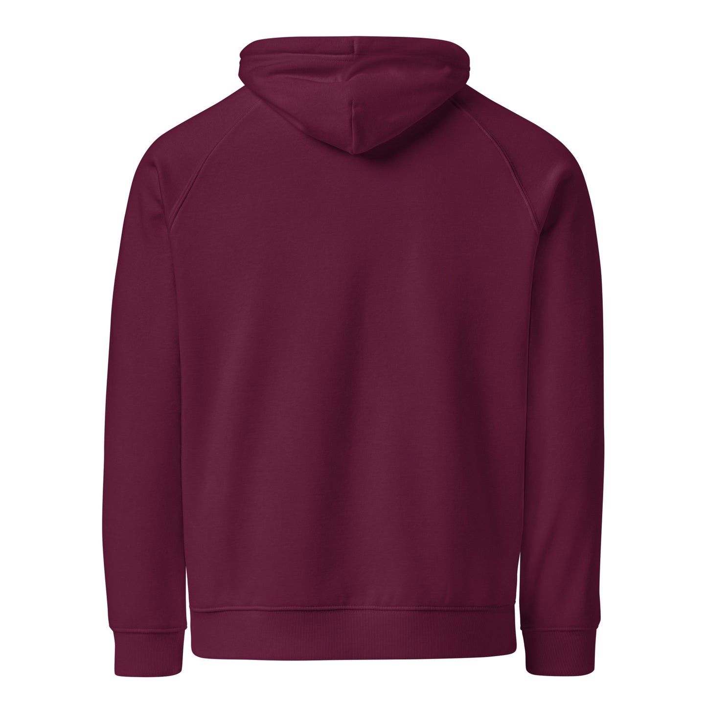 venus in cancer eco raglan hoodie