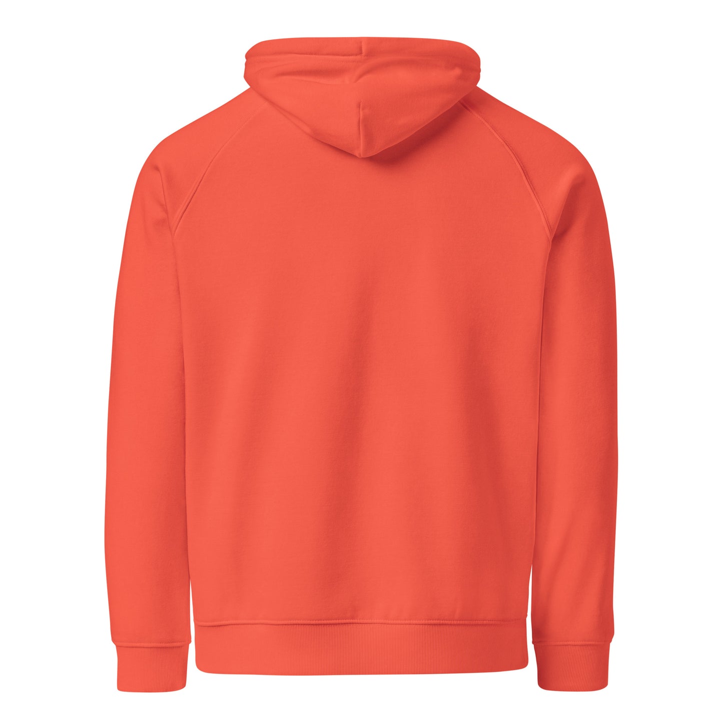 venus in cancer eco raglan hoodie